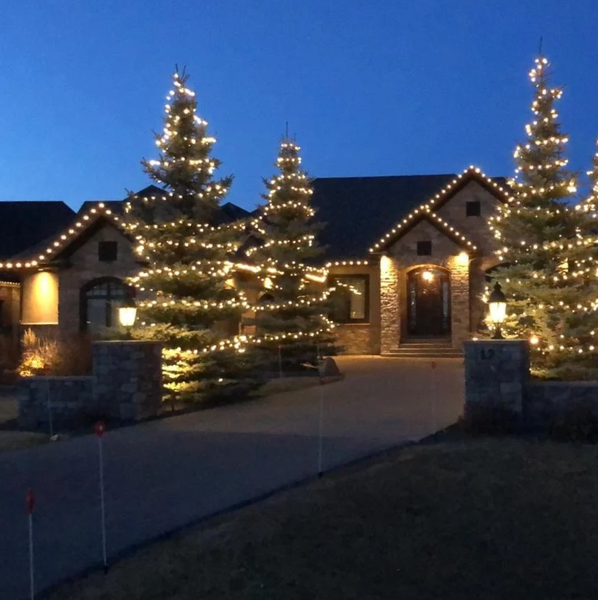 large estate with holiday lighting installation on trees and home