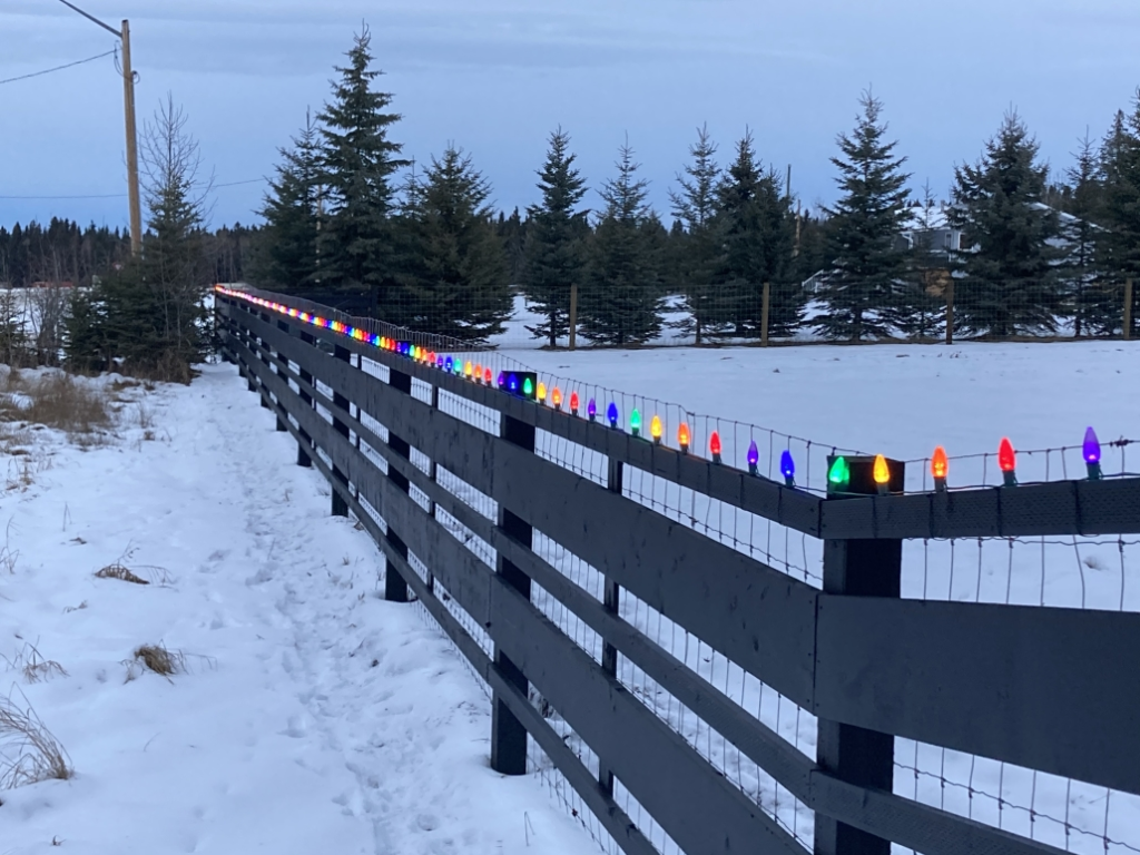 fence with led lights installed