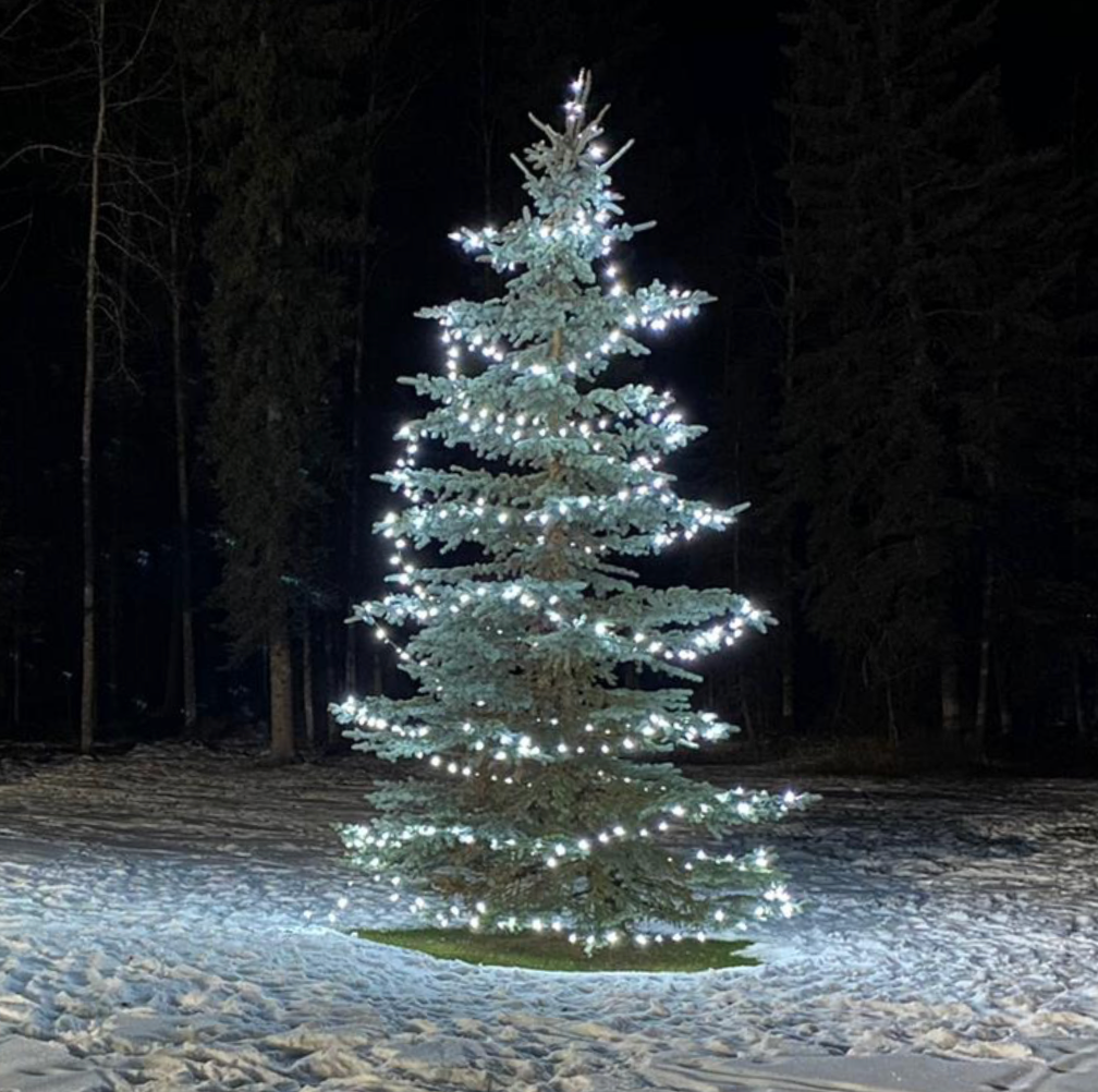 Christmas tree with holiday lighting installed